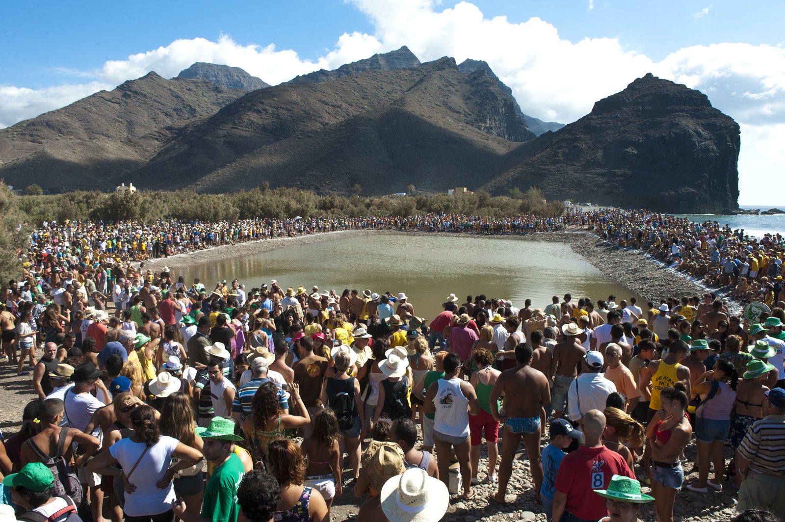 Blick durch dichte Palmenvegetation auf ein Tal mit Bergen und verstreuten Häusern im Hintergrund.